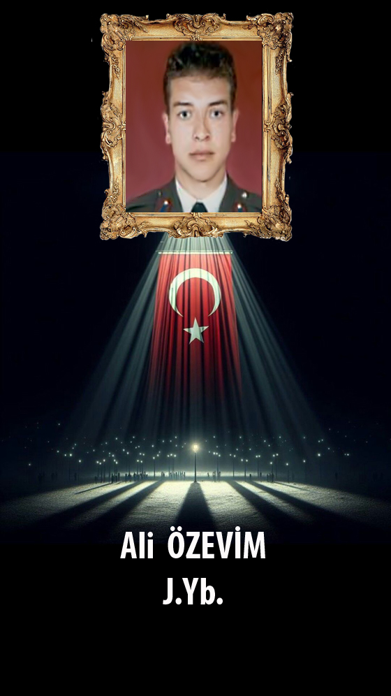 Ali ÖZEVİM